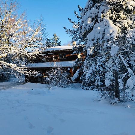 Kibuvitsa Holiday House Muratsi Luaran gambar